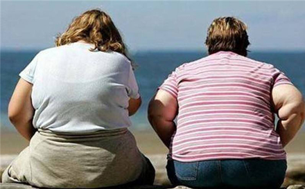 世界肥胖危机-------它让人平均减寿3年